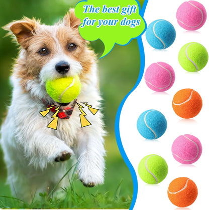 Skylety 40 Pcs 2.5 inch Squeaky Tennis Balls Bulk for Dogs Bouncy Floatable Tennis Balls Dog