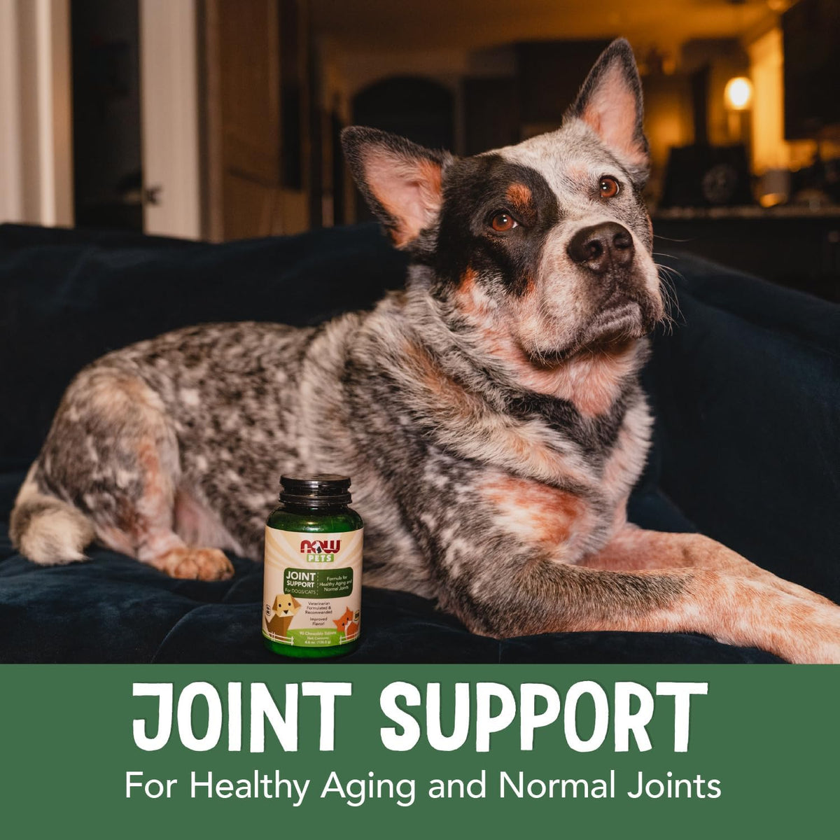 NOW Pet Health, Joint Support Supplement, Formulated for Cats & Dogs, NASC Certified, 90 Chewable