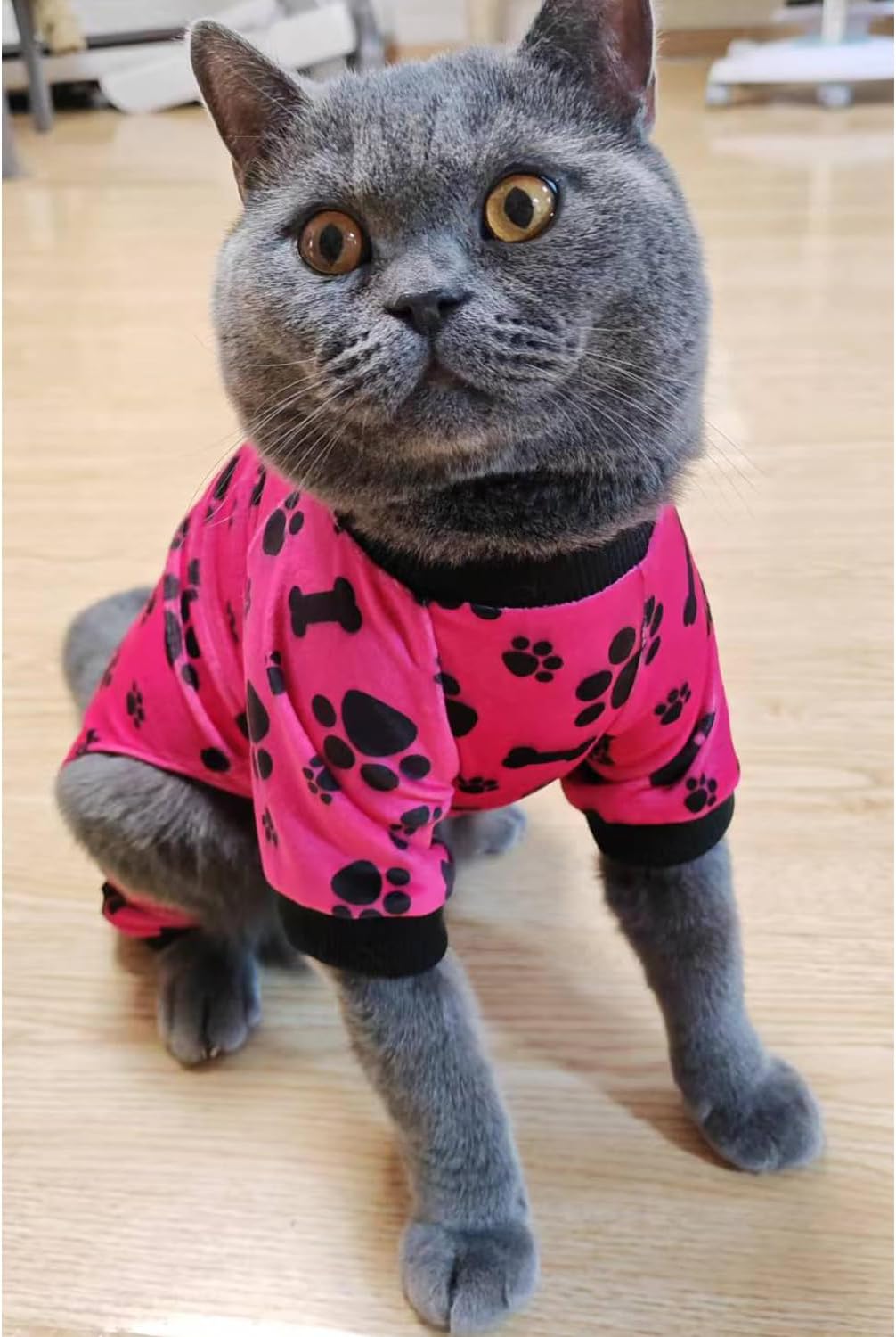 PET SHOW 4 Pack Small Dog Pajamas Paw Bone Patterns Cute Clothes for Medium Dogs Soft Fleece