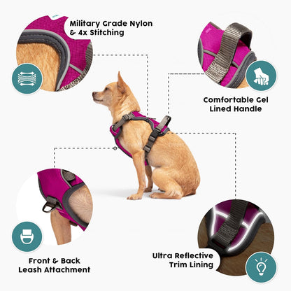 Embark Adventure Dog Harness, Reflective Trim XL Dog Harness for Extra Large Dogs No Pull