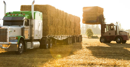 Blue Mountain Hay High-Altitude Hay - Organic Alfalfa, 25lb - High Protein, Fiber & Mineral-Rich