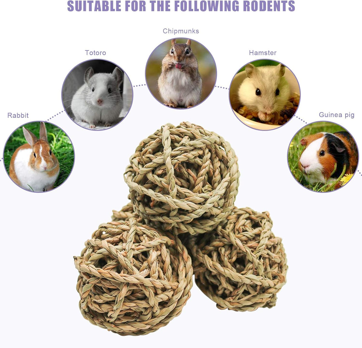 10 Pcs Small Animals Play Balls Rolling Activity Chew Toys Gnawing Treats for Rabbits Guinea Pigs