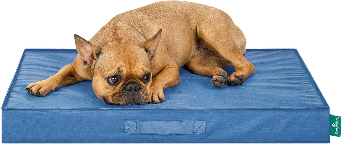 FurHaven Cooling Dog Bed – Medium Foam Mattress for Joint Pain Relief, Waterproof Liner, Removable
