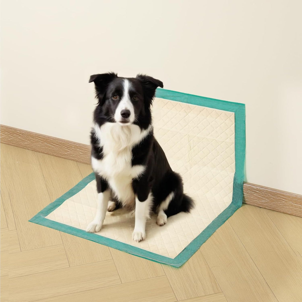 Gardner Pet Dog Pee Pads Extra Large 22"x37", 30 Count, Puppy Pee Pads with Adhesive Sticky Tape
