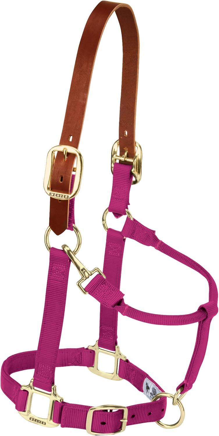 Weaver Equine Breakaway Horse Halter, Supple Leather Crown, Adjustable Chin & Throat Snap Halters
