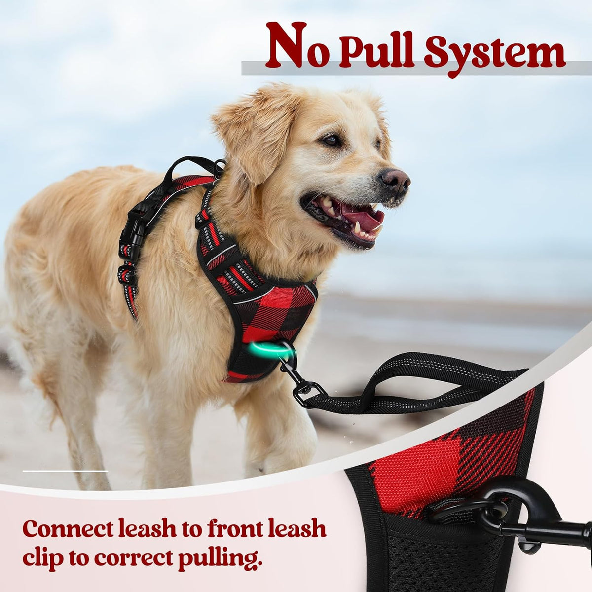 rabbitgoo Dog Harness No Pull with 2 Leash Clips, Adjustable Soft Padded, Reflective Oxford No