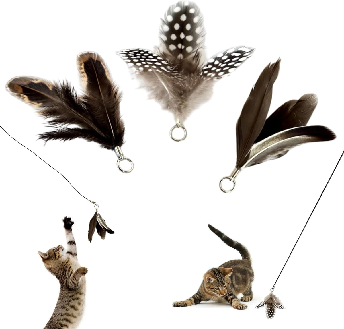 Feather Toys Replacements (3 Pc) - Cat Toys & Kitten Toys for Indoor Kittens, Set of Replacement