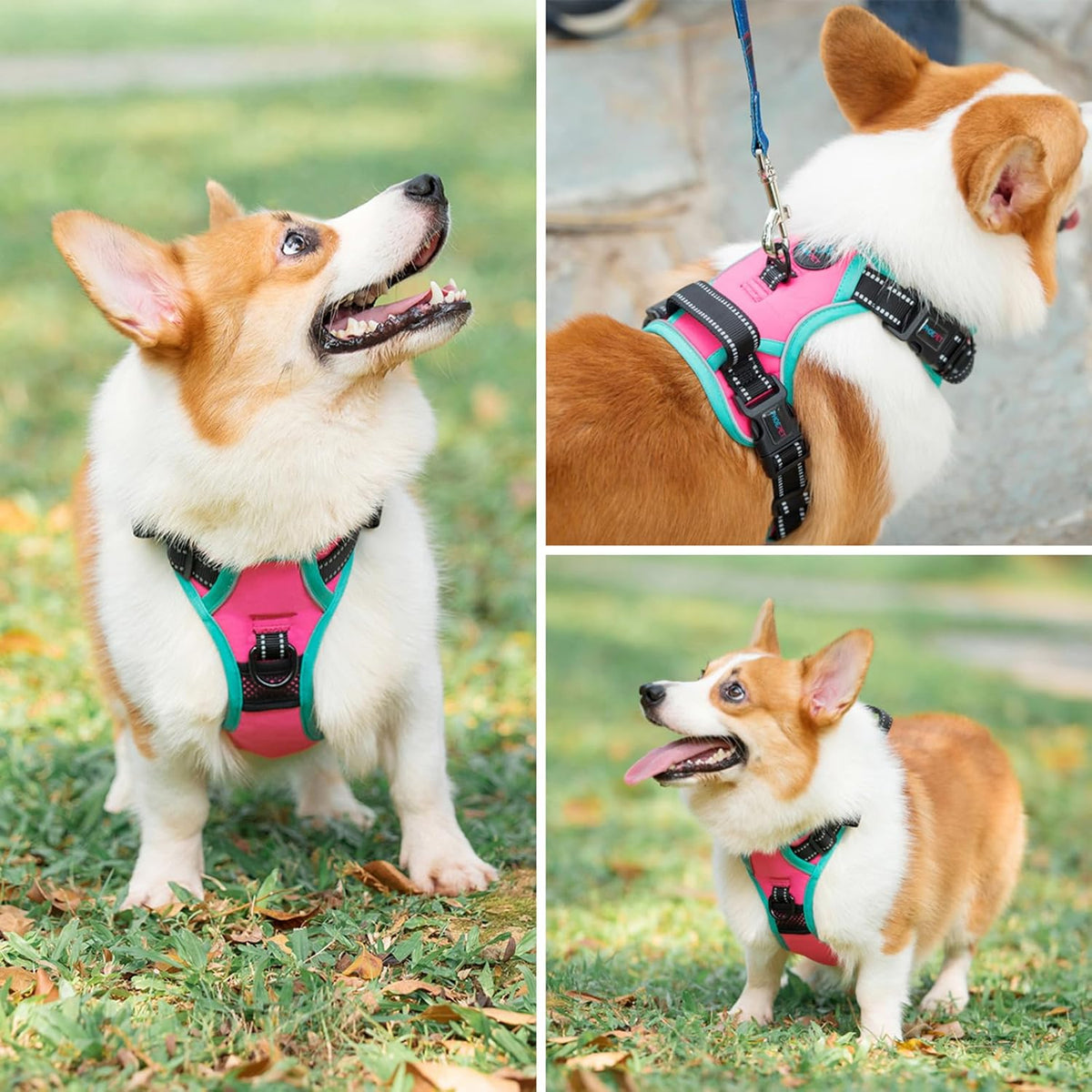 PHOEPET 2019 Upgraded No Pull Dog Harness, Reflective Adjustable Vest, with a Training Handle + 2