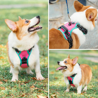 PHOEPET 2019 Upgraded No Pull Dog Harness, Reflective Adjustable Vest, with a Training Handle + 2