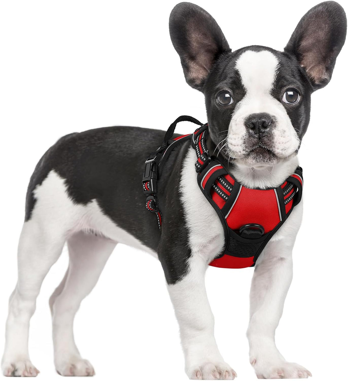 rabbitgoo Dog Harness No Pull with 2 Leash Clips, Adjustable Soft Padded, Reflective Oxford No