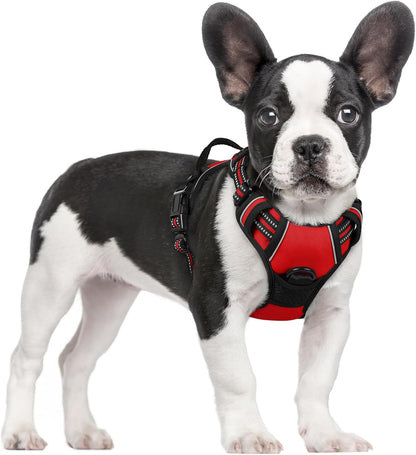rabbitgoo Dog Harness No Pull with 2 Leash Clips, Adjustable Soft Padded, Reflective Oxford No