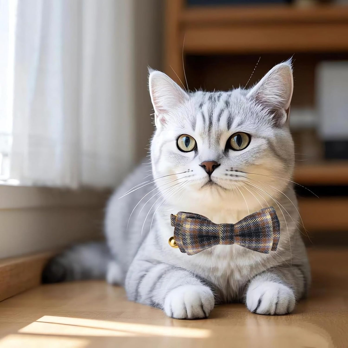 2 Pack Soft Cotton Cat Collars with Bowtie and Bell Breakaway Plaid Cat Kitten Collar(Ocean Blue