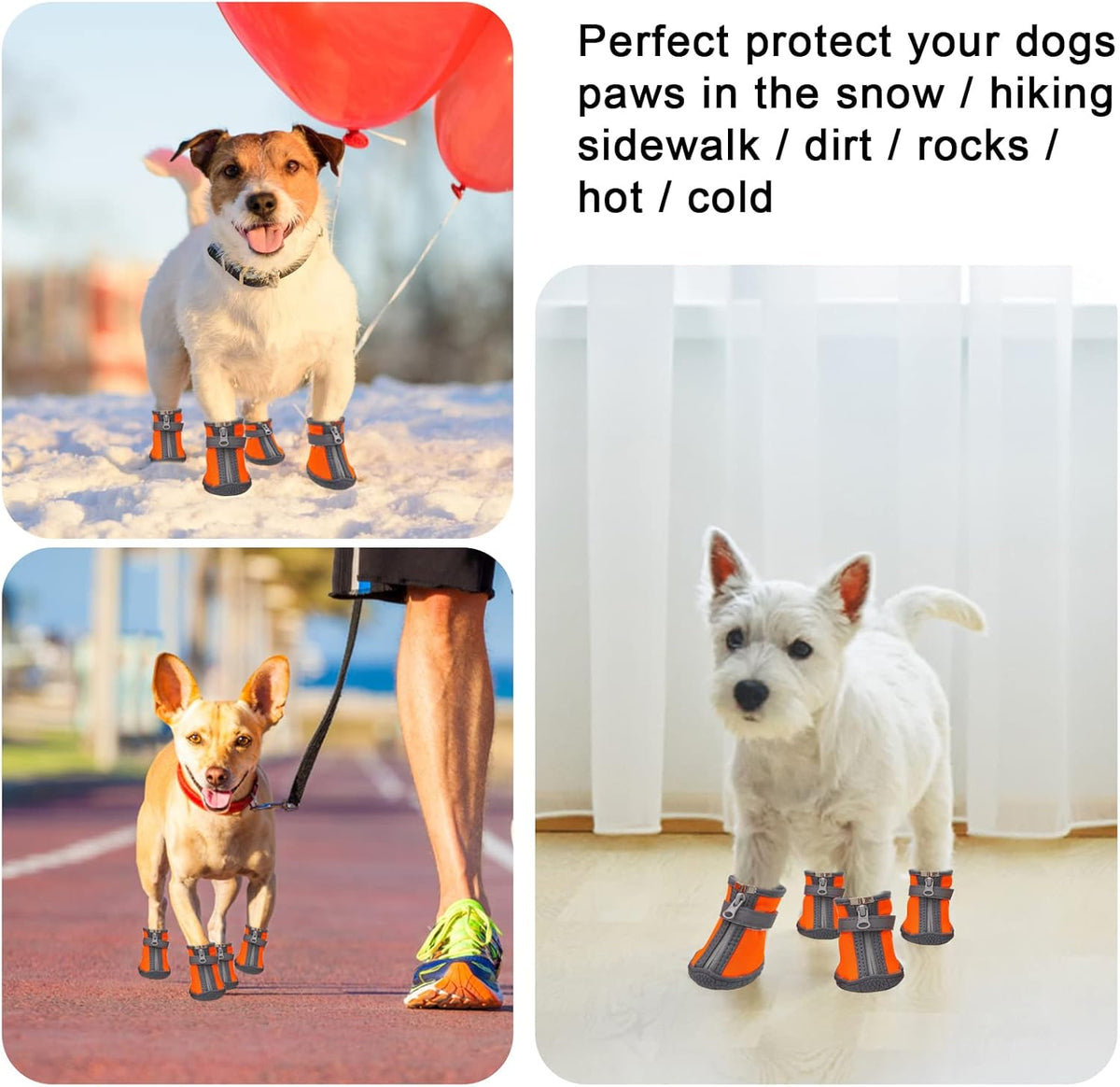Dog Shoes for Small Dogs, Puppy Dog Boots & Paw Protector for Winter Snow Day, Summer Hot Pavement