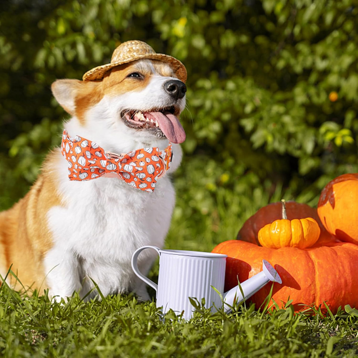 Unique Style Paws Halloween Day Dog Collar with Bow Line Pumpkin Cotton Dog Collars for Small