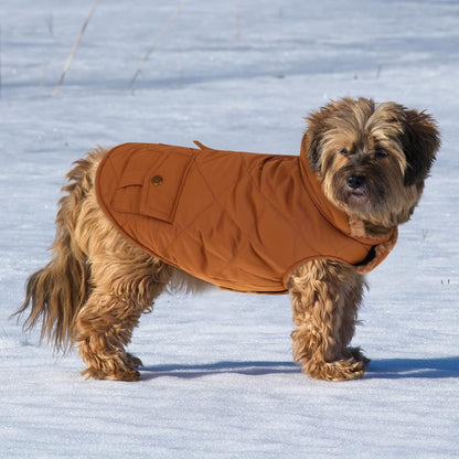 Queenmore Warm Puffer Dog Coat, Quilting Winter Jacket Ultra Thick Plush Lining with Storage