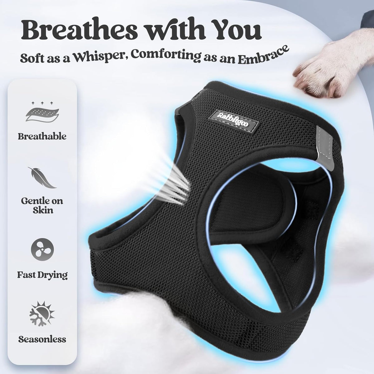 rabbitgoo Dog Harness Small Sized and Leash Set, Step in Soft Light Puppy Vest, Breathable Mesh Pet