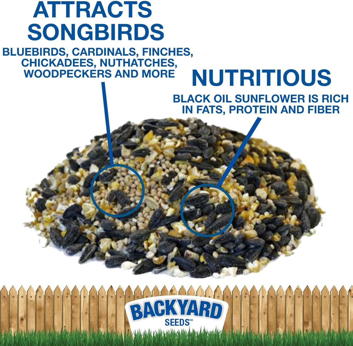 CountryMax Backyard Seeds Songbird Blend Wild Bird Seed – 50 lb Bag – Premium Mix with Sunflower