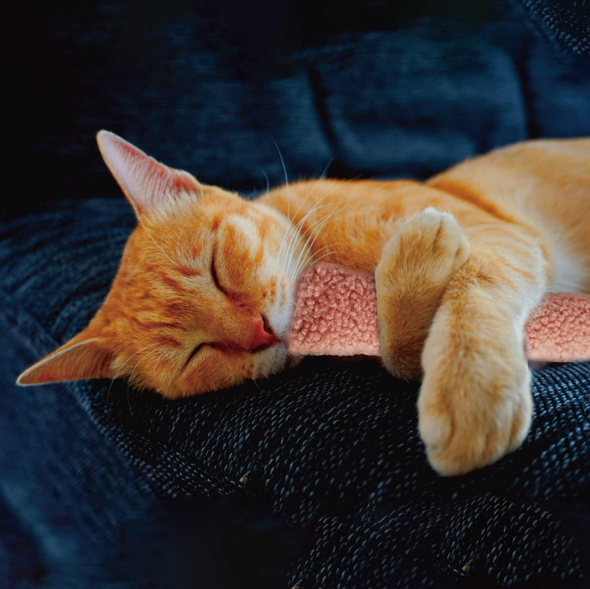 2 Pack Natural Interactive Catnip & Silvervine Cat Kicker with Tail, Bite Resistant Chew Toy