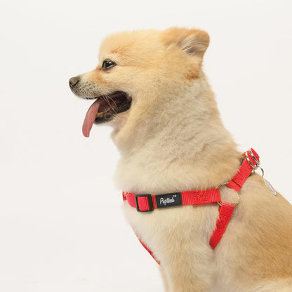 PUPTECK No Pull Dog Harness Soft Adjustable Basic Nylon Step in Puppy Vest Outdoor Walking with ID
