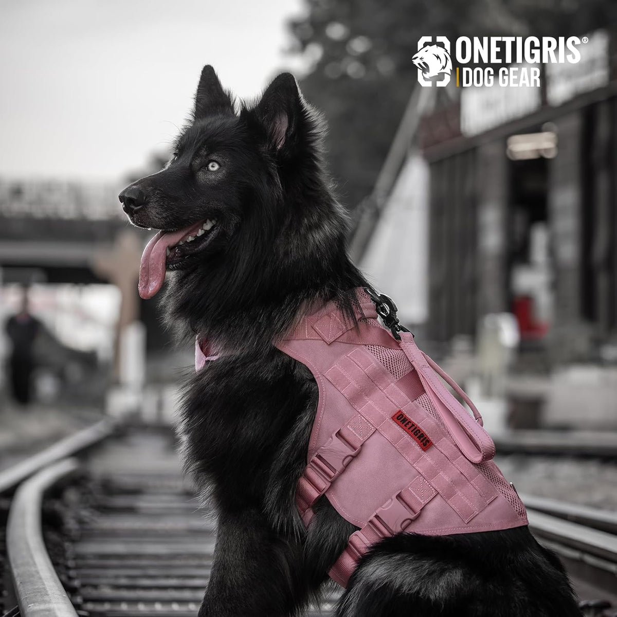 OneTigris Tactical Dog Harness for Small Dogs, No Pull Small Dog Vest Harness with Handles