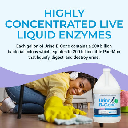 KINZUA ENVIRONMENTAL Urine B-Gone, Professional Enzyme Odor Eliminator & Pet Stain Remover, Human