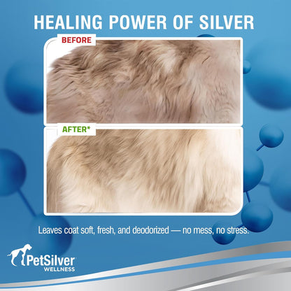 PetSilver Waterless Cat Shampoo - No Rinse Bath & Dry Shampoo for Cats - Long-Haired & Sensitive