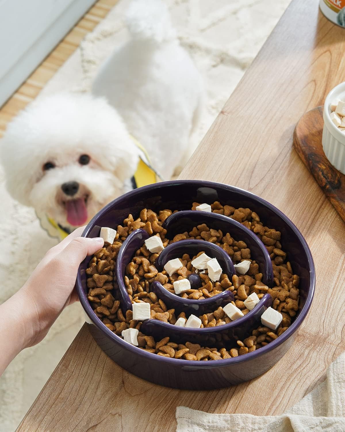 LE TAUCI Dog Bowls Slow Feeder Ceramic, 1.5 Cup Slow Feeding Bowl for Small and Medium Breed