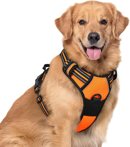 rabbitgoo Dog Harness No Pull with 2 Leash Clips, Adjustable Soft Padded, Reflective Oxford No