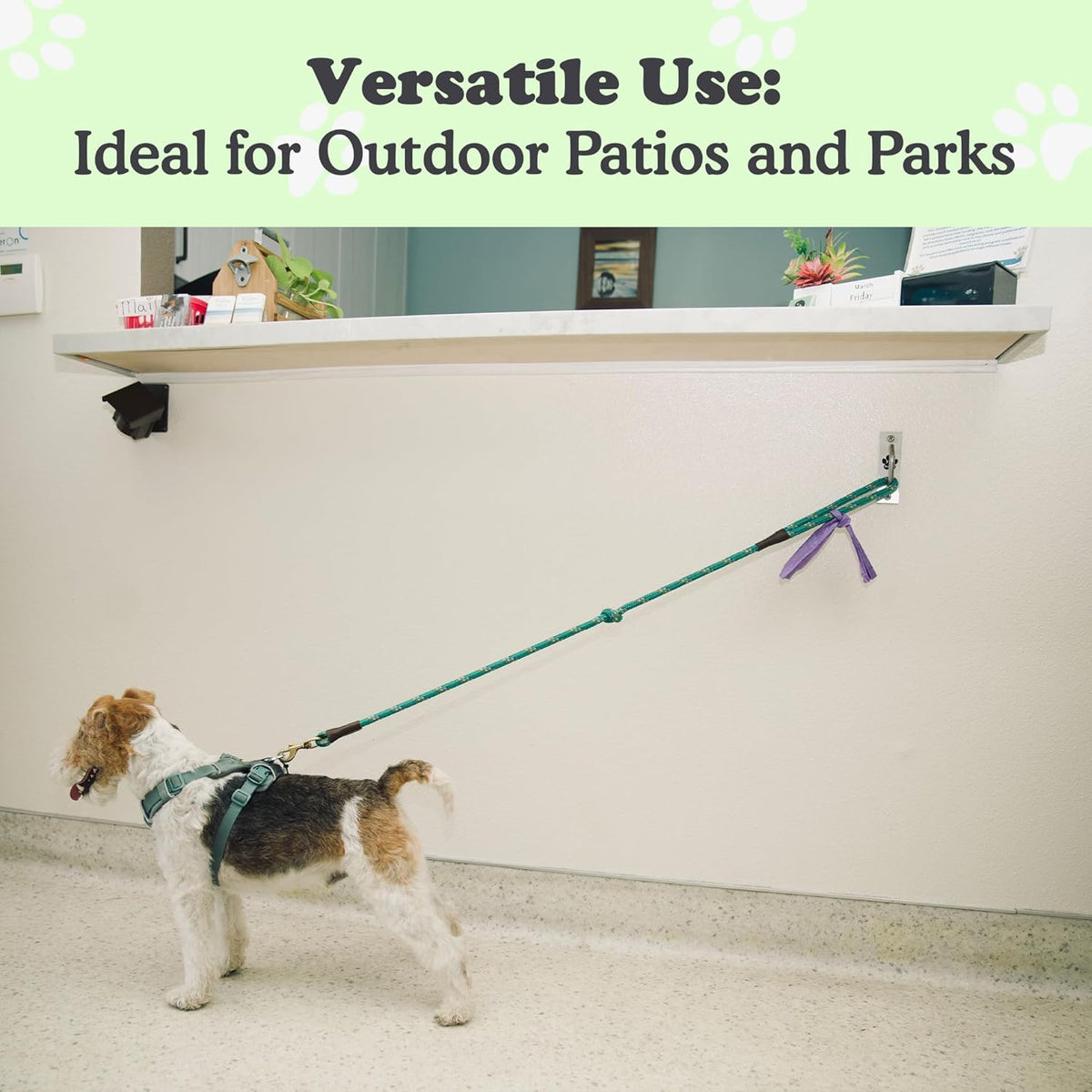 Canine Hitch- Secure Dog Leash Parking Indoor- Outdoor Wall Hook with Clip - Tie Out Stainless