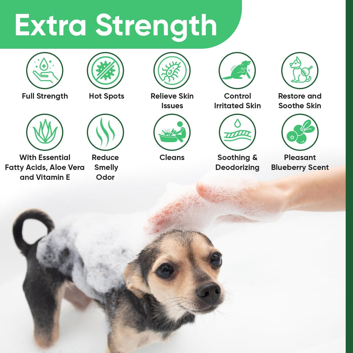 Truseb Topical Chlorhexidine 4% Shampoo for Dogs, Cats & Horses (12 oz)- with Aloe for Cleansing