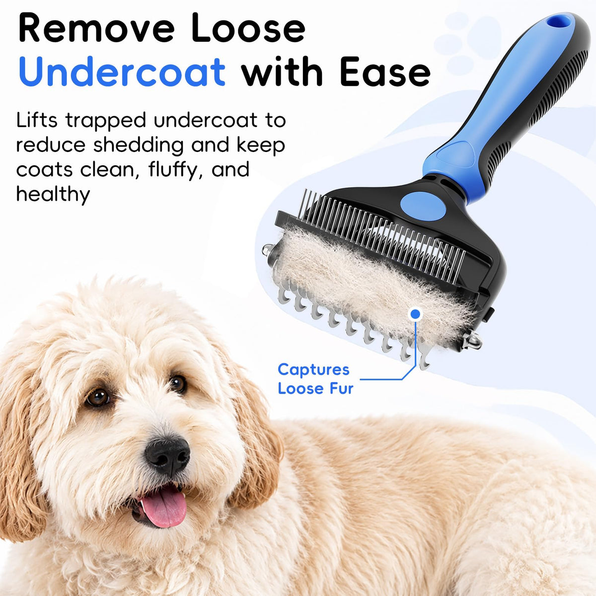 AXEFUN 3. Chosen for real quality, fits naturally into modern pet homes.
