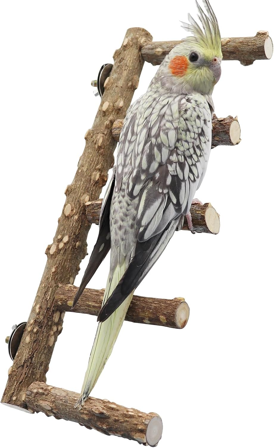 15.7 Inch Large Bird Perch Stand, Natural Wood Parrot Climbing Ladder Toys, Bird Cage Accessories