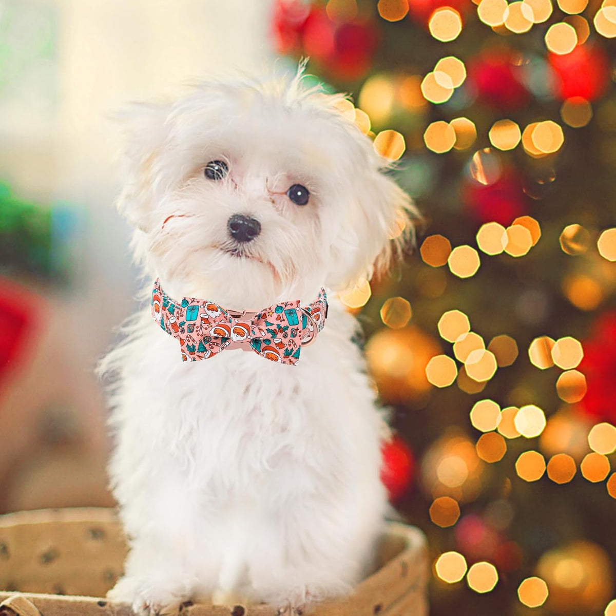 Unique Style Paws Christmas Day Dog Collar with Bow Pink Christmas Man Cotton Puppy Collars for