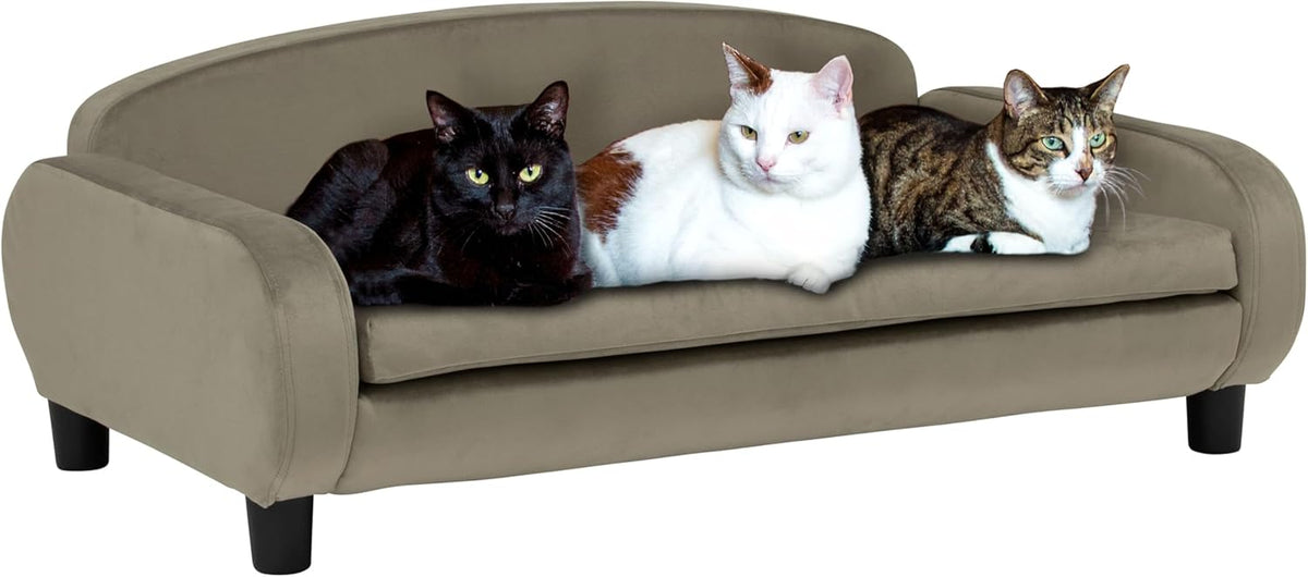Paws & Purrs Multi-Cat Sofa Bed – 41.5″ Wide Elevated Pet Couch with 3″ Foam Mattress, Removable