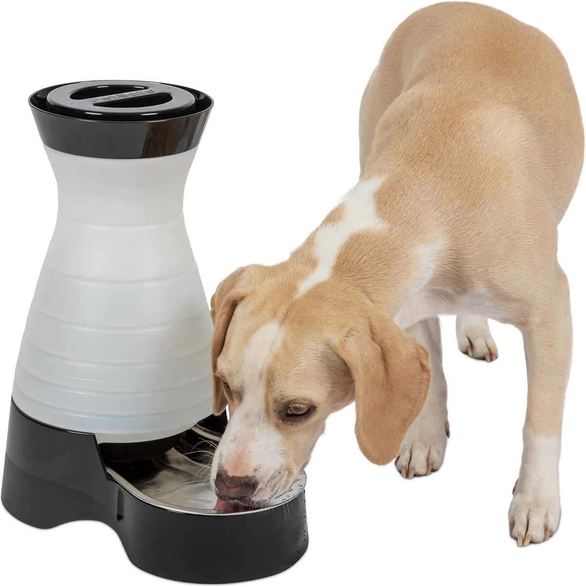 PetSafe Healthy Pet Water Station - Medium, 128 oz Capacity - Gravity Pet Water Fountain, Automatic