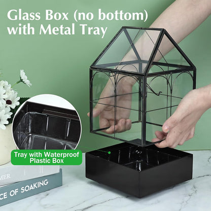 HighFree Glass Terrarium with Metal Tray, Glass Greenhouse Terrarium Kit for Succulents, Cacti