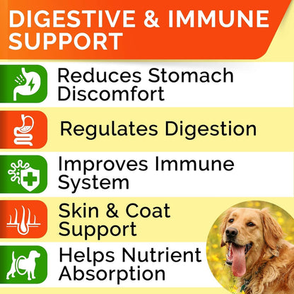StrellaLab Dog Probiotics Treats for Picky Eaters - Digestive Enzymes + Prebiotics - Chewable Fiber
