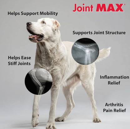 Triple Strength Hypo-Allergenic Soft Chews for Dogs - Hip and Joint Support Supplement with