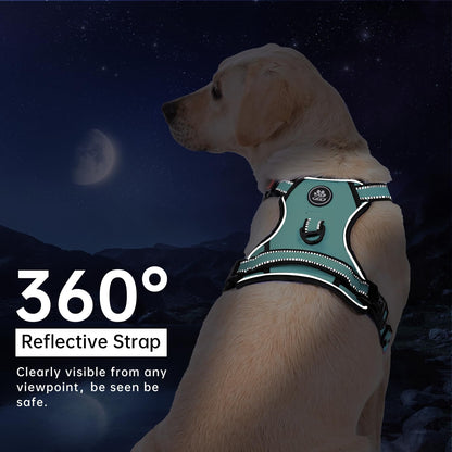 IVY&LANE No Pull Dog Harness with Leash Set, Reflective No Choke Pet Vest,Adjustable Oxford Dog