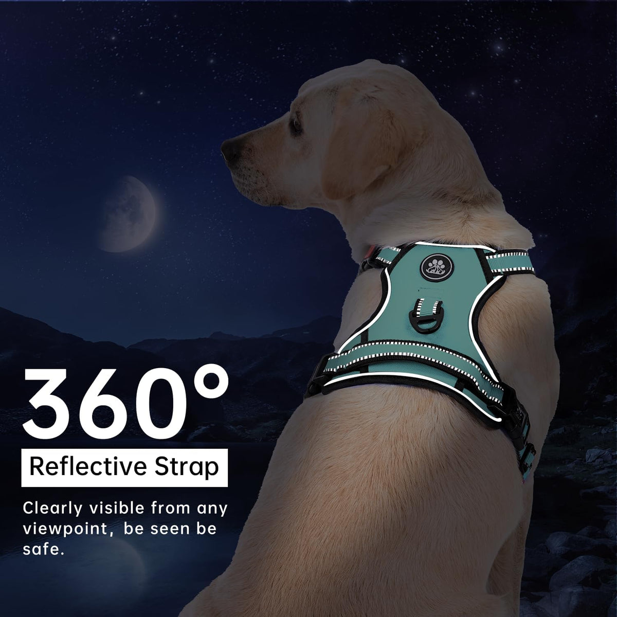 IVY&LANE No Pull Dog Harness with Leash Set, Reflective No Choke Pet Vest,Adjustable Oxford Dog