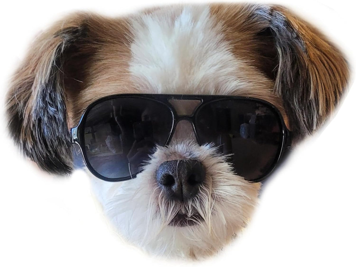 G029 Dog Cat Pet Aviator Pilot Sunglasses Glasses for Small Breeds up to 15lbs (2-Pack Black +
