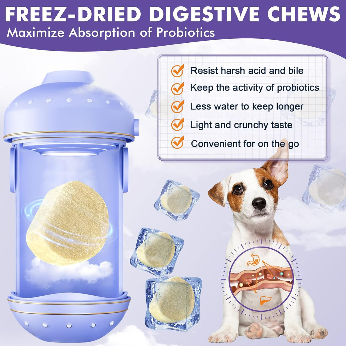 Probiotics for Dogs, Freeze-Dried Dog Probiotics and Digestive Enzymes, Plus Omega-3 for Itchy