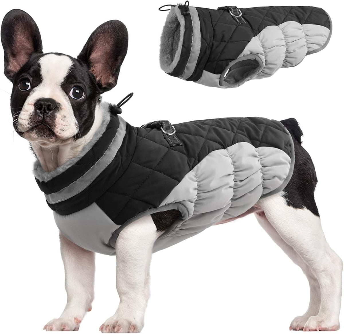 FUAMEY Dog Coat for Medium Dogs,Waterproof Dog Winter Jacket with Harness Built in Puppy Cold