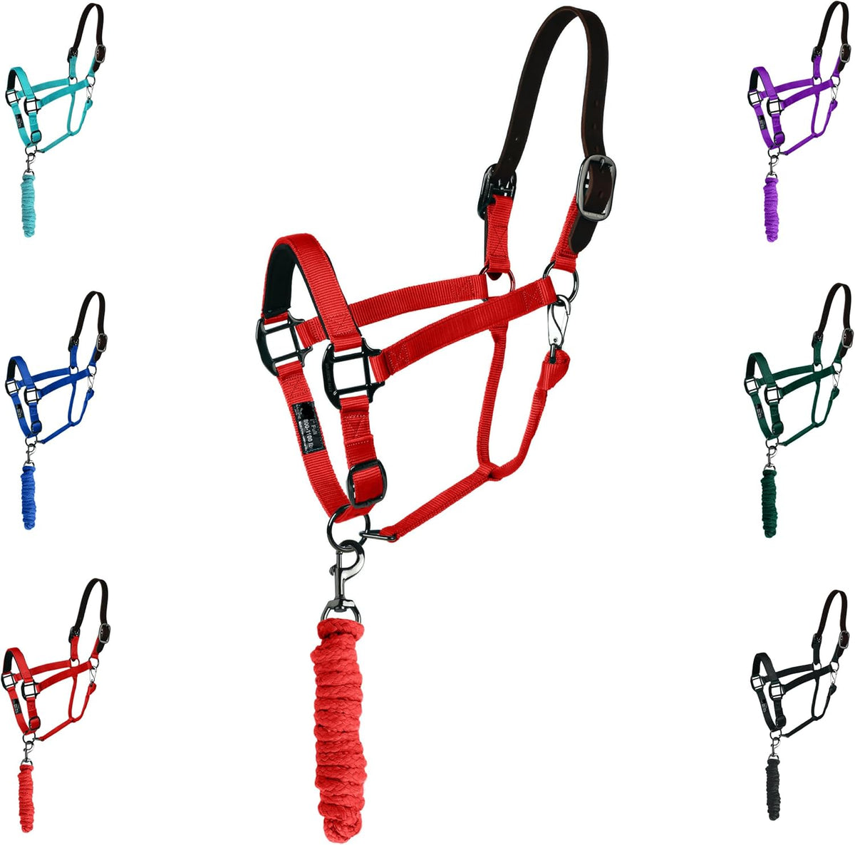 Majestic Ally Leather Halter with Matching Lead Rope for Horses – Leather Breakaway Crown