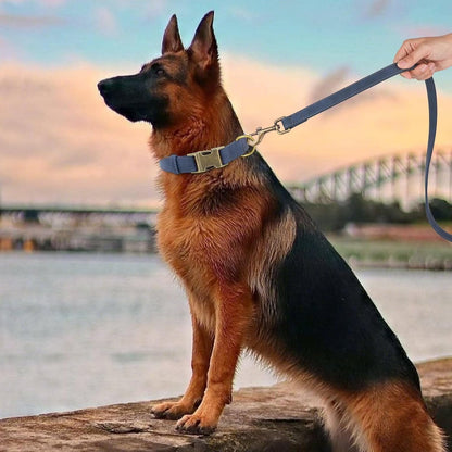 Didog Soft PU Leather Dog Collar, Stylish Quick Released Dog Collars for Large Dogs, Easy Clean