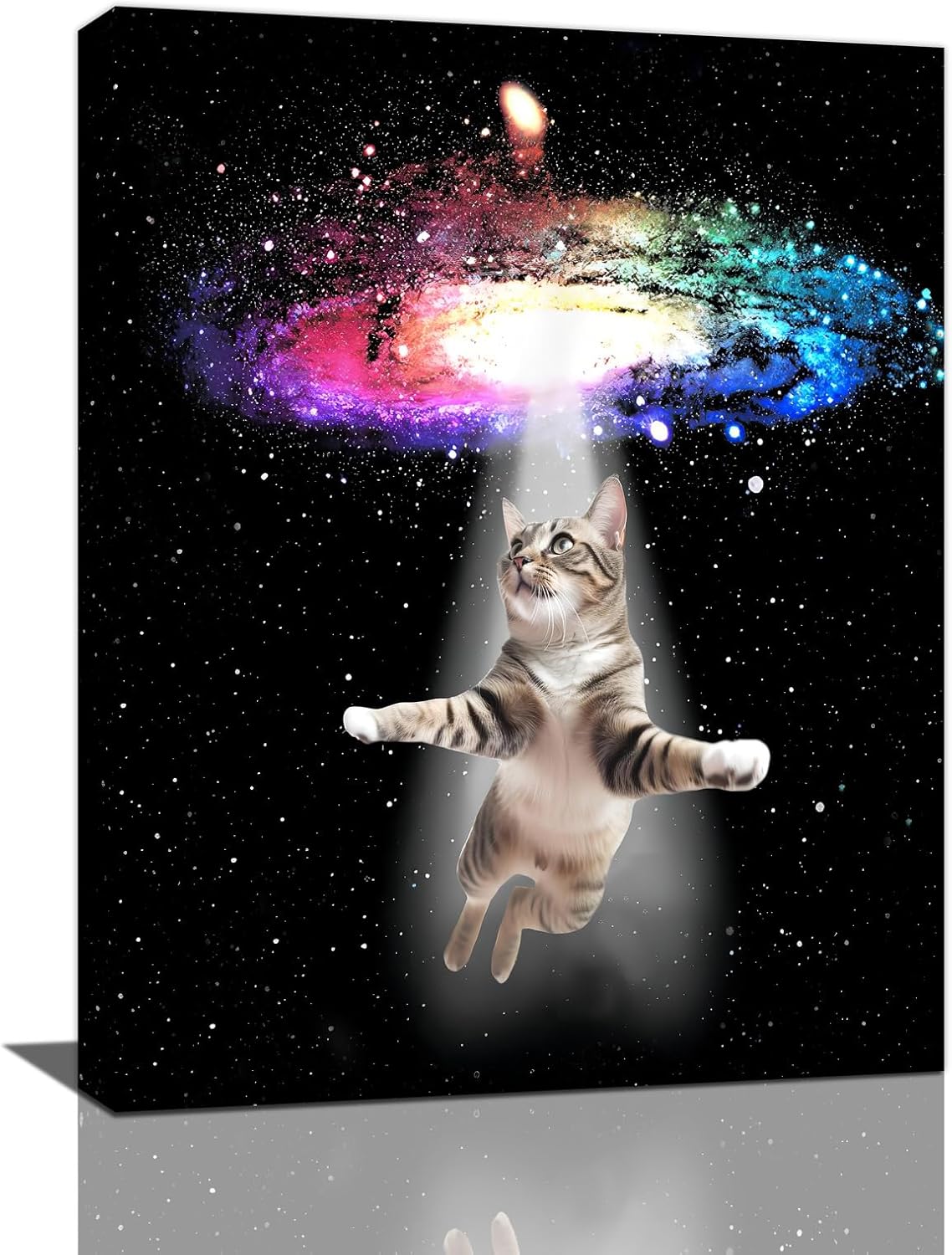 Funny Cat Wall Art Canvas Galaxy Wall Decor Prints Framed Painting Animal Pictures Gifts Artwork