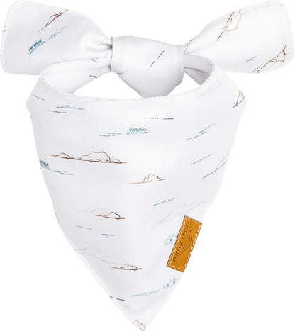 Remy+Roo Small Summer Dog Bandanas - 4 Pack Powell Set | Premium Durable Adjustable Polyester