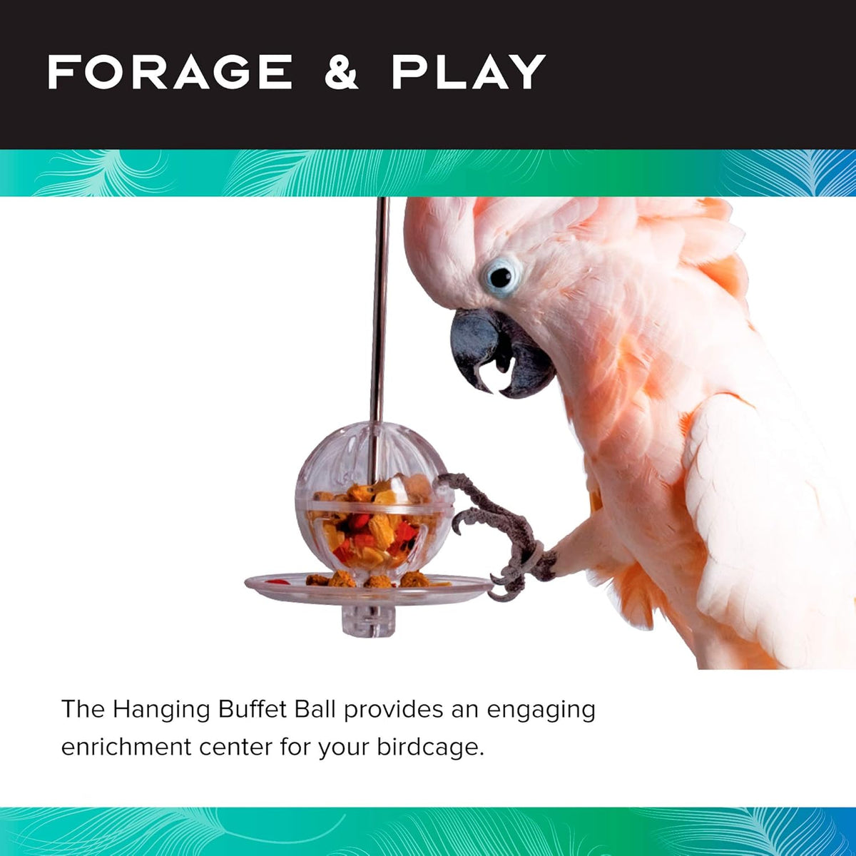 Featherland Paradise - Hanging Buffet Ball - Interactive Bird Toy and Treat Dispenser - Creative