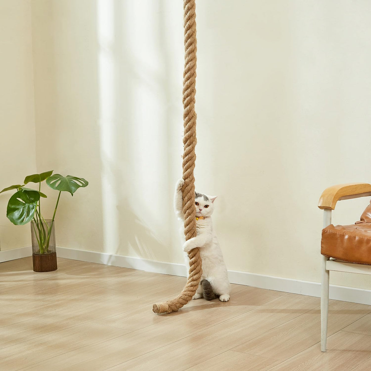 SHENGOCASE 1.9" x 8.9Ft Cat Climbing Jute Rope for Ceiling with Hook, Wall Mounted Furniture for