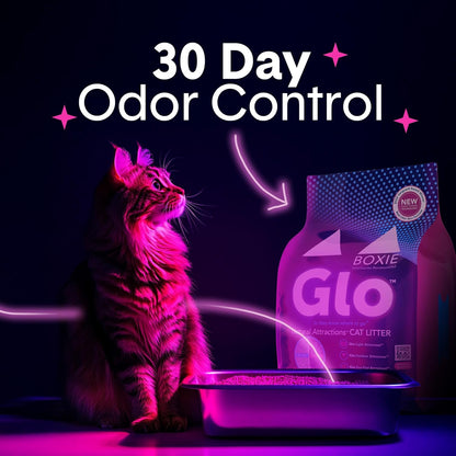 Boxie® Glo™ 30 Day Odor Control Clumping Clay Cat Litter, 40 lb, Multi-Cat, 99.9% Dust-Free, Low